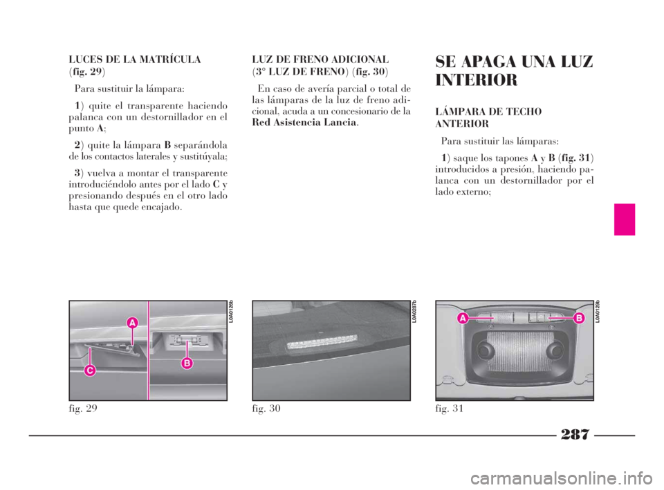 Lancia Thesis 2008  Manual de Empleo y Cuidado (in Spanish) 287
LUCES DE LA MATRÍCULA 
(fig. 29)
Para sustituir la lámpara:
1) quite el transparente haciendo
palanca con un destornillador en el
puntoA;
2) quite la lámpara Bseparándola
de los contactos late