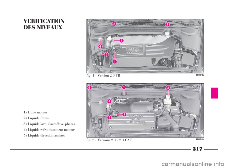 Lancia Thesis 2009  Notice dentretien (in French) 317
VERIFICATION 
DES NIVEAUX
1) Huile moteur 
2) Liquide freins 
3) Liquide lave-glaces/lave-phares 
4) Liquide refroidissement moteur 
5) Liquide direction assistée
L0A0343b
L0A0344b
fig. 1 - Versi
