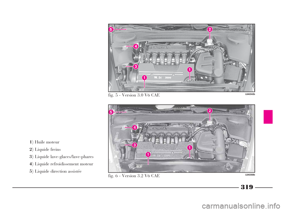 Lancia Thesis 2009  Notice dentretien (in French) 319
1) Huile moteur 
2) Liquide freins 
3) Liquide lave-glaces/lave-phares 
4) Liquide refroidissement moteur
5) Liquide direction assistée
L0A0342b
L0A0358b
fig. 5 - Version 3.0 V6 CAE
fig. 6 - Vers