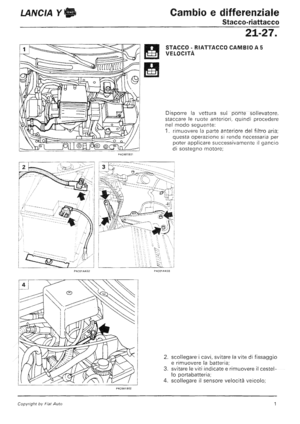 Page 239