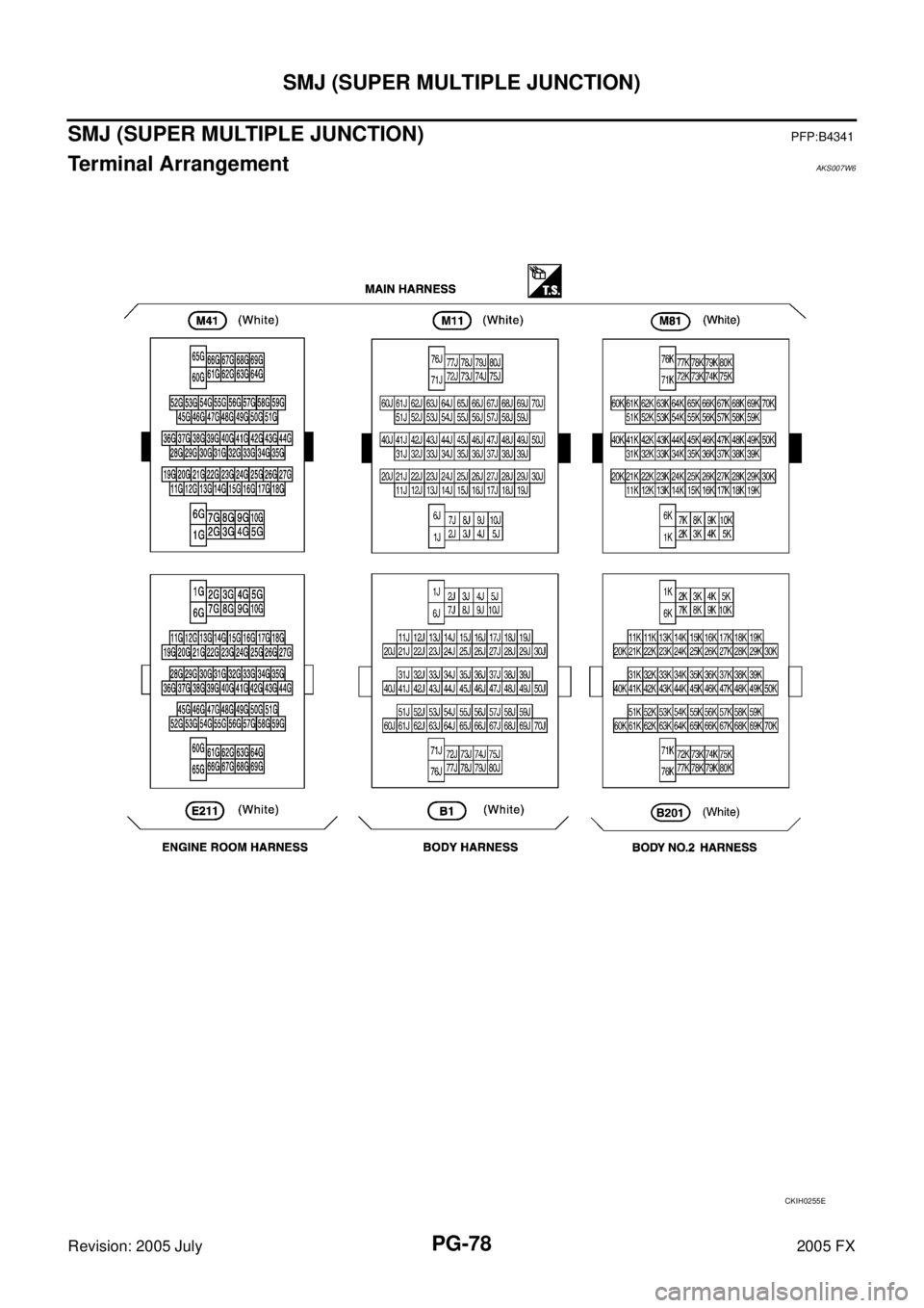 INFINITI FX35 2005  Service Manual PG-78
SMJ (SUPER MULTIPLE JUNCTION)
Revision: 2005 July 2005 FX
SMJ (SUPER MULTIPLE JUNCTION)PFP:B4341
Terminal ArrangementAKS007W6
CKIH0255E 