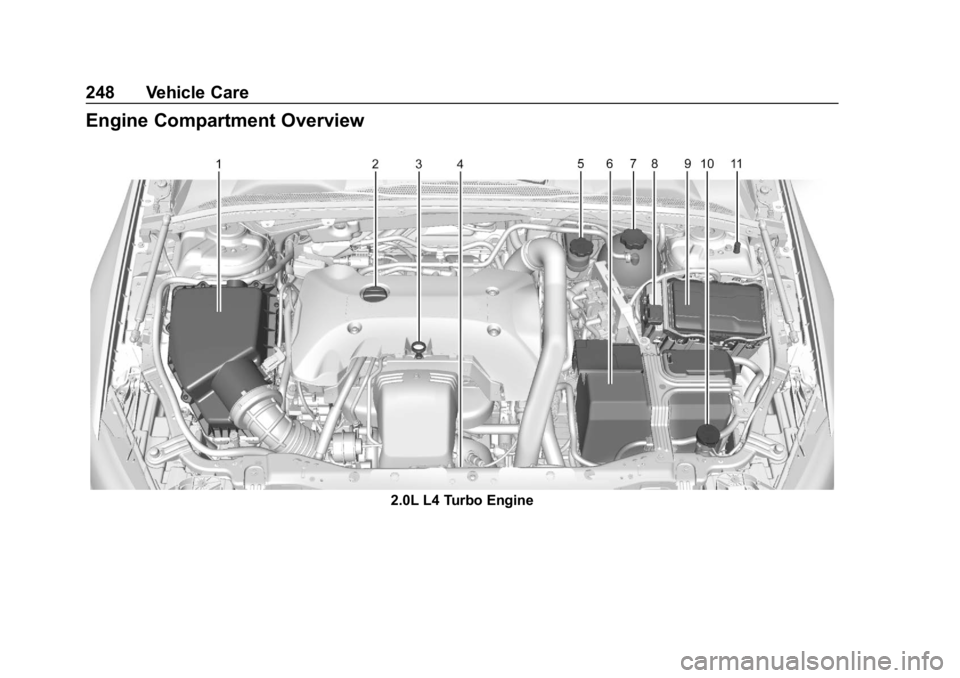 BUICK REGAL SPORTBACK 2019  Owners Manual Buick Regal Owner Manual (GMNA-Localizing-U.S./Canada-12163021) -
2019 - CRC - 11/14/18
248 Vehicle Care
Engine Compartment Overview
2.0L L4 Turbo Engine 