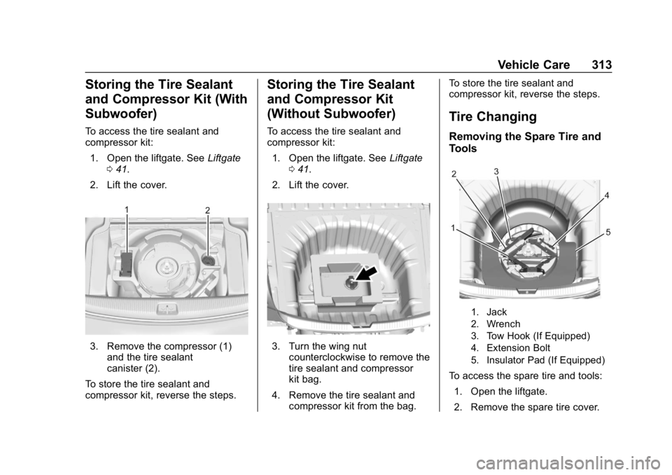 BUICK REGAL SPORTBACK 2019  Owners Manual Buick Regal Owner Manual (GMNA-Localizing-U.S./Canada-12163021) -
2019 - CRC - 11/14/18
Vehicle Care 313
Storing the Tire Sealant
and Compressor Kit (With
Subwoofer)
To access the tire sealant and
com