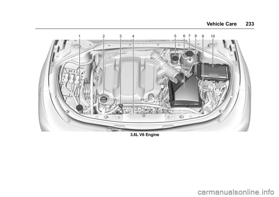 BUICK LACROSSE 2018  Owners Manual Buick LaCrosse Owner Manual (GMNA-Localizing-U.S./Canada-10999169) -
2018 - crc - 3/28/17
Vehicle Care 233
3.6L V6 Engine 