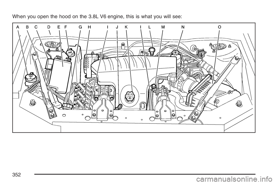 BUICK LACROSSE 2007  Owners Manual When you open the hood on the 3.8L V6 engine, this is what you will see:
352 