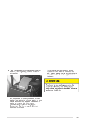 Page 251