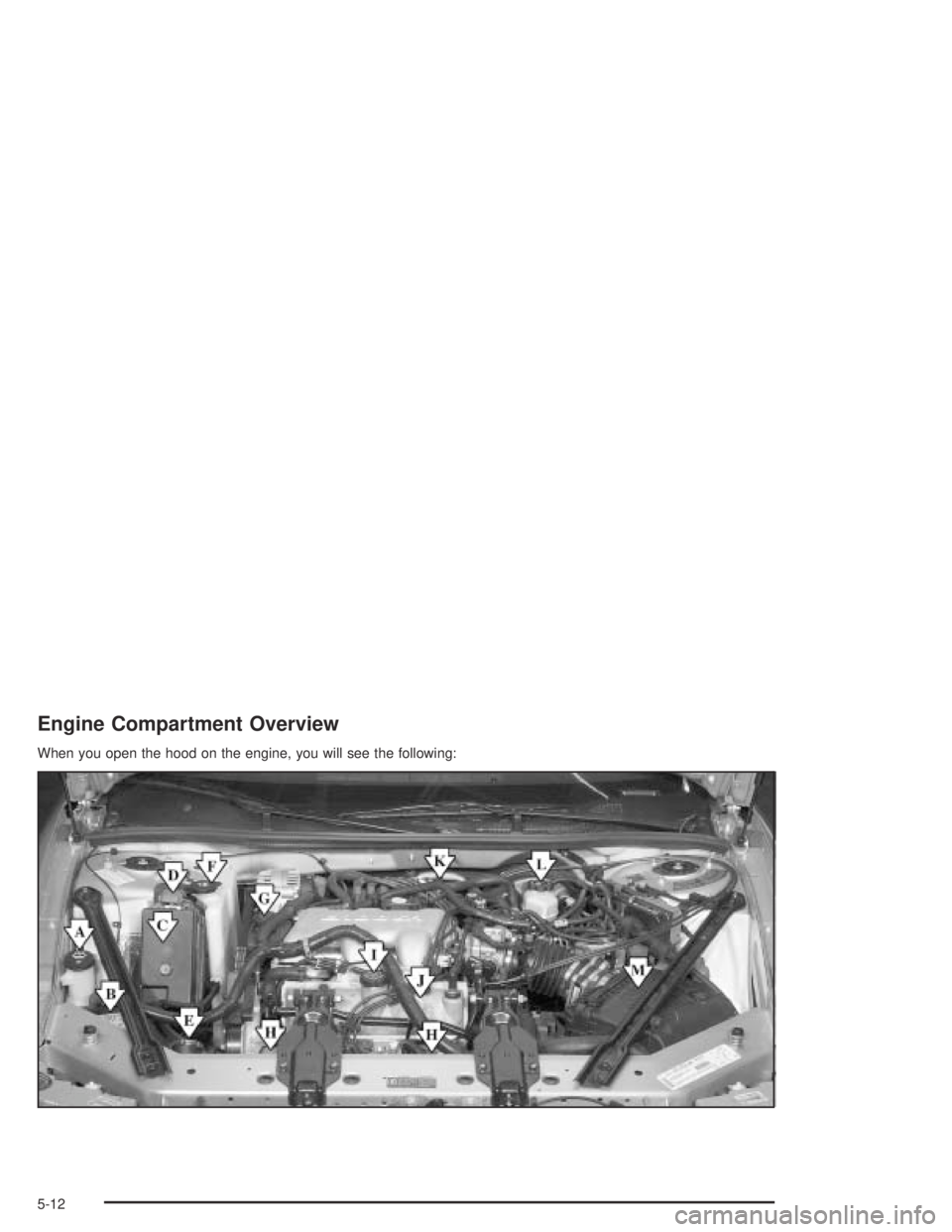 BUICK CENTURY 2005  Owners Manual Engine Compartment Overview
When you open the hood on the engine, you will see the following:
5-12 