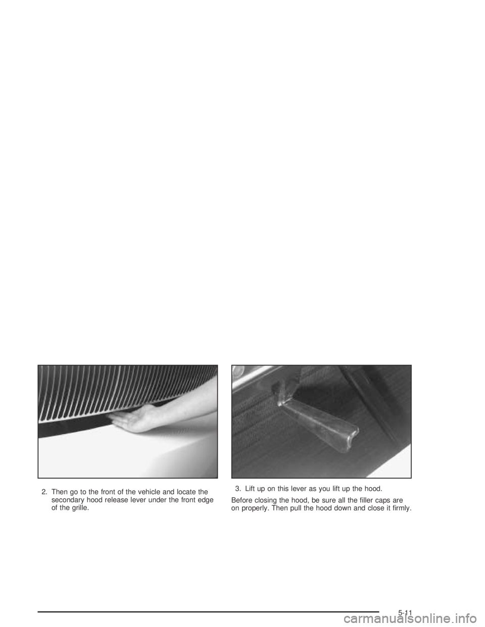 BUICK PARK AVENUE 2005  Owners Manual 2. Then go to the front of the vehicle and locate the
secondary hood release lever under the front edge
of the grille.3. Lift up on this lever as you lift up the hood.
Before closing the hood, be sure