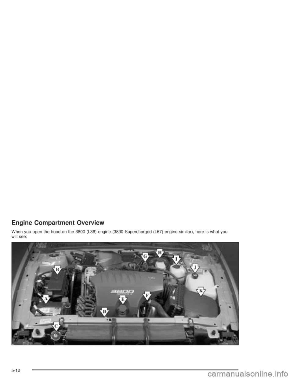 BUICK PARK AVENUE 2005  Owners Manual Engine Compartment Overview
When you open the hood on the 3800 (L36) engine (3800 Supercharged (L67) engine similar), here is what you
will see:
5-12 