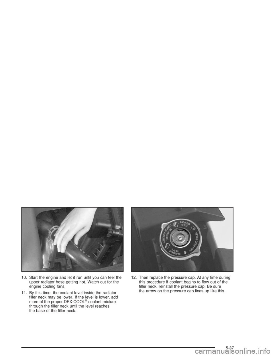 BUICK PARK AVENUE 2004  Owners Manual 10. Start the engine and let it run until you can feel the
upper radiator hose getting hot. Watch out for the
engine cooling fans.
11. By this time, the coolant level inside the radiator
�ller neck ma