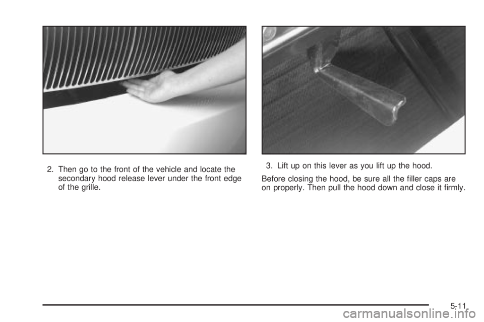 BUICK PARK AVENUE 2003  Owners Manual 2. Then go to the front of the vehicle and locate the
secondary hood release lever under the front edge
of the grille.3. Lift up on this lever as you lift up the hood.
Before closing the hood, be sure