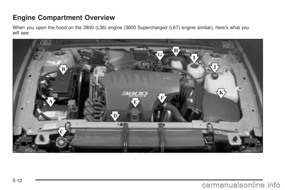 BUICK PARK AVENUE 2003  Owners Manual Engine Compartment Overview
When you open the hood on the 3800 (L36) engine (3800 Supercharged (L67) engine similar), heres what you
will see:
5-12 