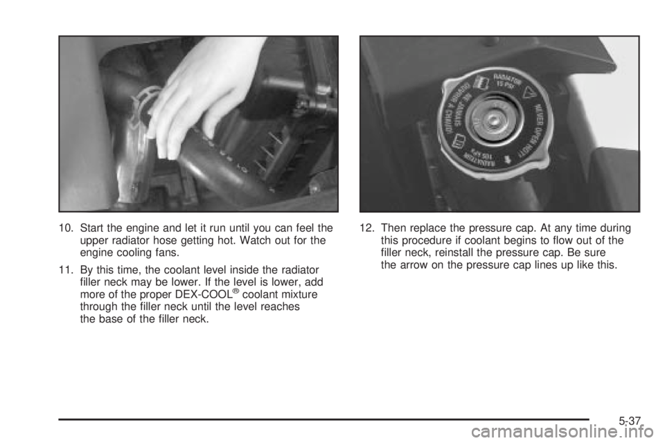 BUICK PARK AVENUE 2003  Owners Manual 10. Start the engine and let it run until you can feel the
upper radiator hose getting hot. Watch out for the
engine cooling fans.
11. By this time, the coolant level inside the radiator
®ller neck m