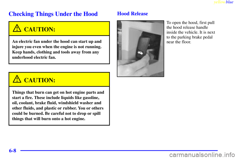BUICK LESABRE 1999  Owners Manual yellowblue     
6-8
Checking Things Under the Hood
CAUTION:
An electric fan under the hood can start up and
injure you even when the engine is not running.
Keep hands, clothing and tools away from any