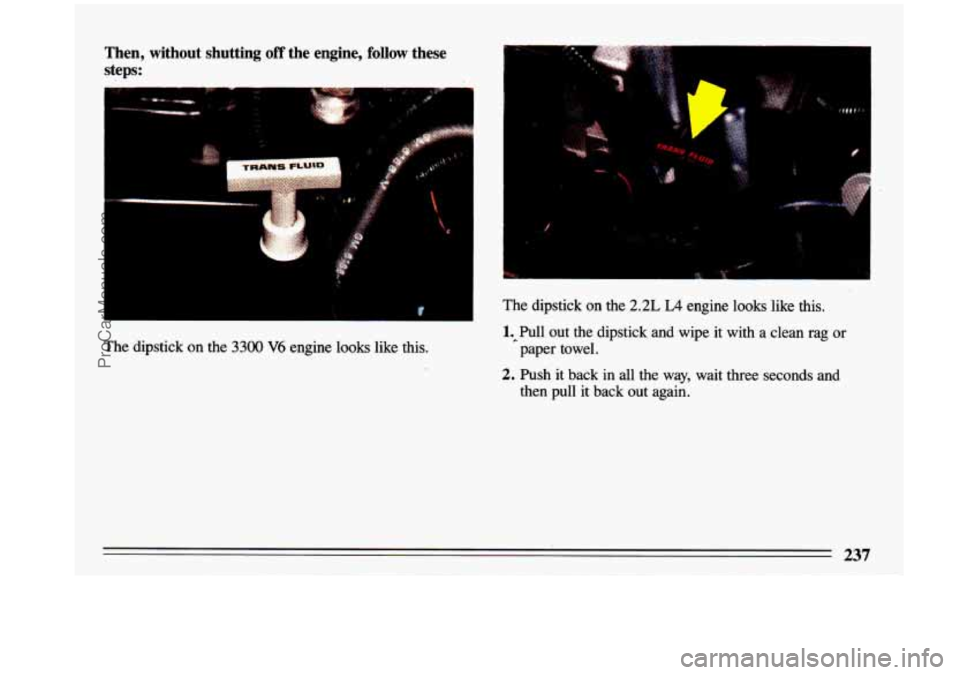 BUICK CENTURY 1993  Owners Manual Then,  without  shutting off the  engine, follow these 
steps: 
rhe dipstick  on  the 3300 V6 engine  looks  like  this. 
k 
The  dipstick  on  the 2.2L L4 engine  looks  like  this. 
1,Pull  out  the