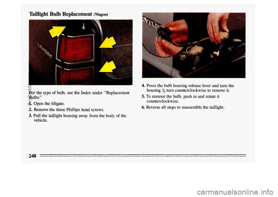 BUICK CENTURY 1993  Owners Manual aillight Bulb Replacement (Wagon) 
For  the  type of bulb,  see  the  Index  under  “Replacement 
Bulbs 
r’ 
1. Open  the  liftgate. 
2. Remove  the  three  Phillips  head  screws. 
3. Pull the  t