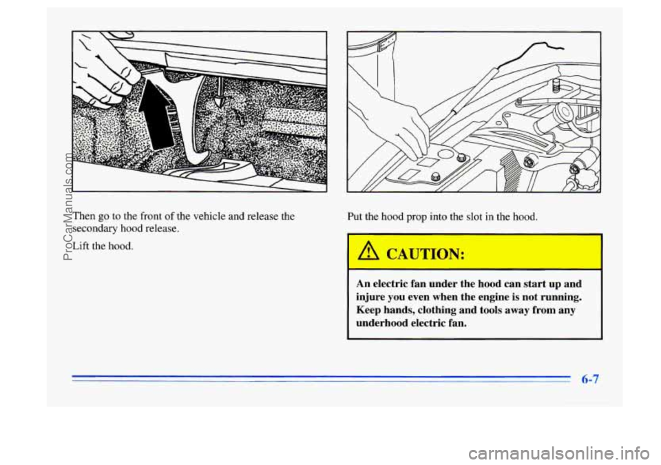 BUICK CENTURY 1996  Owners Manual Then go to the front  of the  vehicle  and release the 
secondary hood release. 
Lift the  hood.  Put  the 
hood prop 
into the slot in the hood. 
I 
An electric  fan  under  the  hood  can  start up 