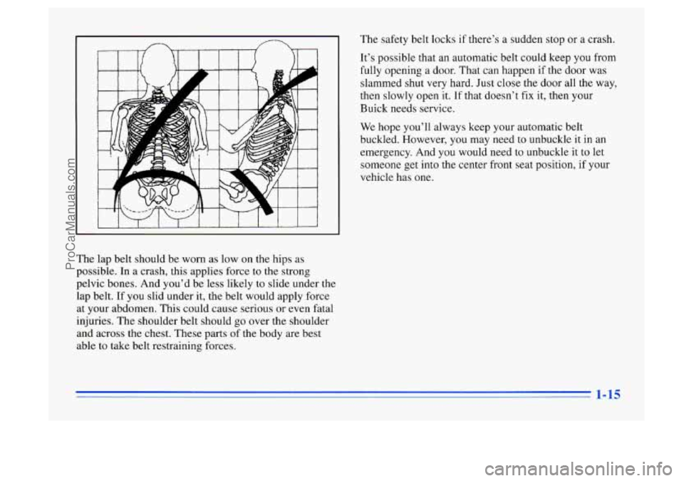 BUICK CENTURY 1996  Owners Manual The  lap belt should  be worn  as low  on the  hips  as 
possible. In  a  crash, this applies  force 
to the strong 
pelvic  bones.  And you’d  be  less likely to  slide  under the 
lap  belt.  If y