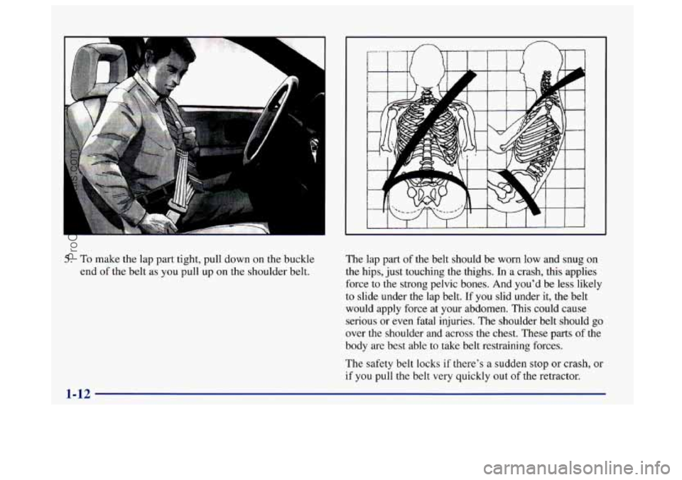 BUICK CENTURY 1997  Owners Manual 5. To make the lap part tight, pull down on  the buckle 
end  of the belt as  you pull  up on the  shoulder  belt.  The lap 
part  of the belt  should  be worn  low  and  snug on 
the hips, just touch