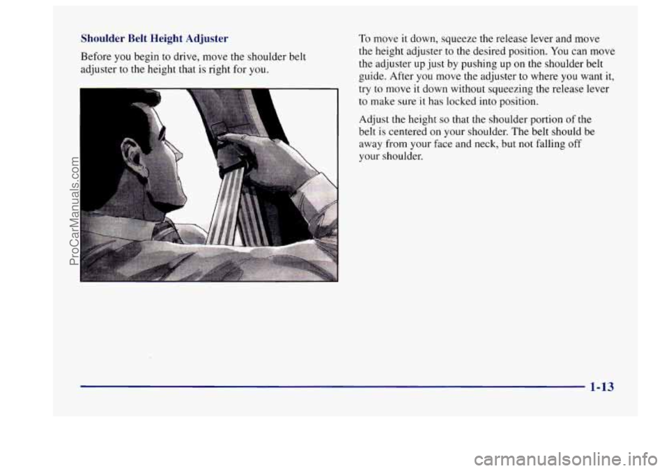 BUICK CENTURY 1997  Owners Manual Shoulder  Belt  Height  Adjuster 
Before you begin  to  drive,  move the shoulder  belt 
adjuster  to 
the height  that is right for you. 
t 
10 move it down, squeeze the  release lever and move 
the 