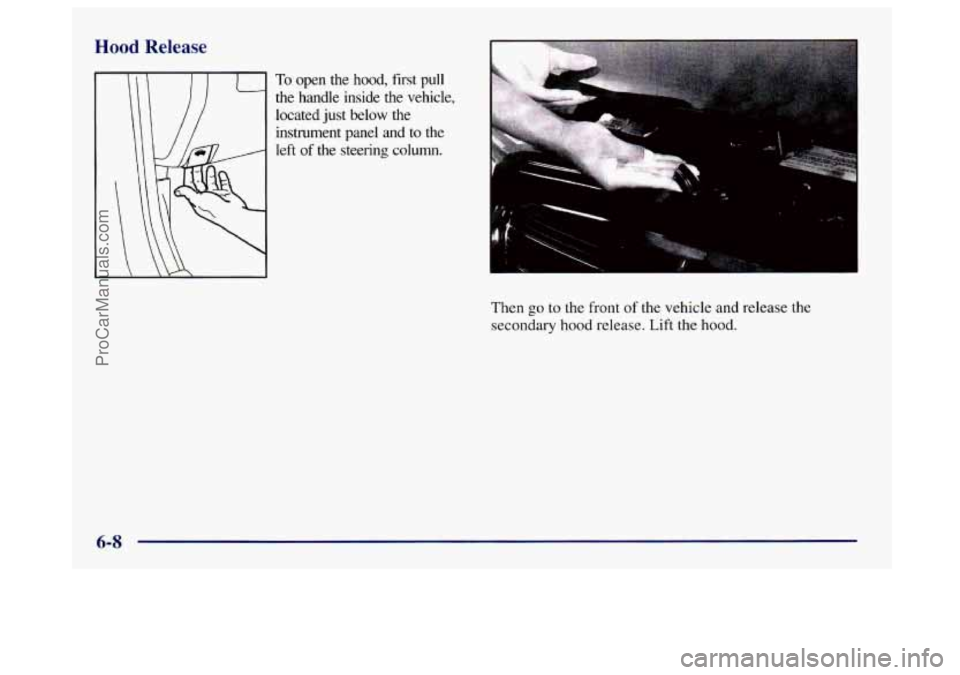BUICK CENTURY 1997  Owners Manual Hood Release 
To open  the  hood,  first  pull 
the  handle  inside  the  vehicle, 
located  just below  the 
instrument  panel  and 
to the 
left 
of the  steering  column. 
Then 
go to the  front of