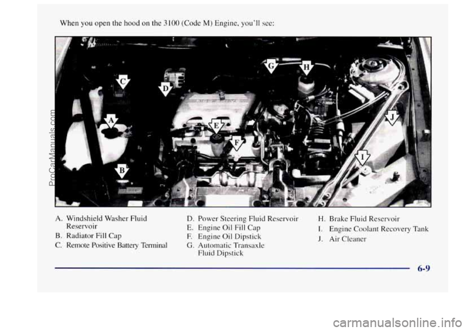 BUICK CENTURY 1997  Owners Manual When you open the hood on the 3 100 (Code M) Engine, you’ll see: 
A. Windshield Washer Fluid 
B.  Radiator 
Fill Cap 
C. Remote  Positive  Battery  Terminal 
Reservoir 
D. Power 
Steering  Fluid Res