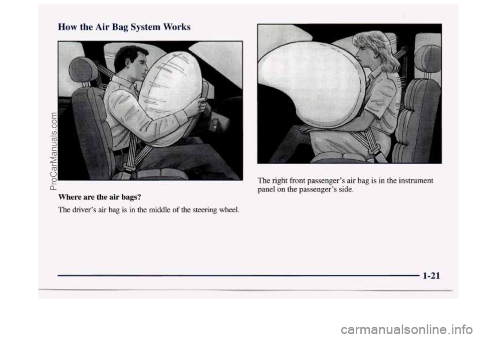 BUICK CENTURY 1997  Owners Manual How the Air Bag System Works 
Where  are  the air bags? 
The drivers air bag is in  the  middle of the  steering  wheel.  The  right  front  passengers  air  bag  is 
in the  instrument 
panel  on  
