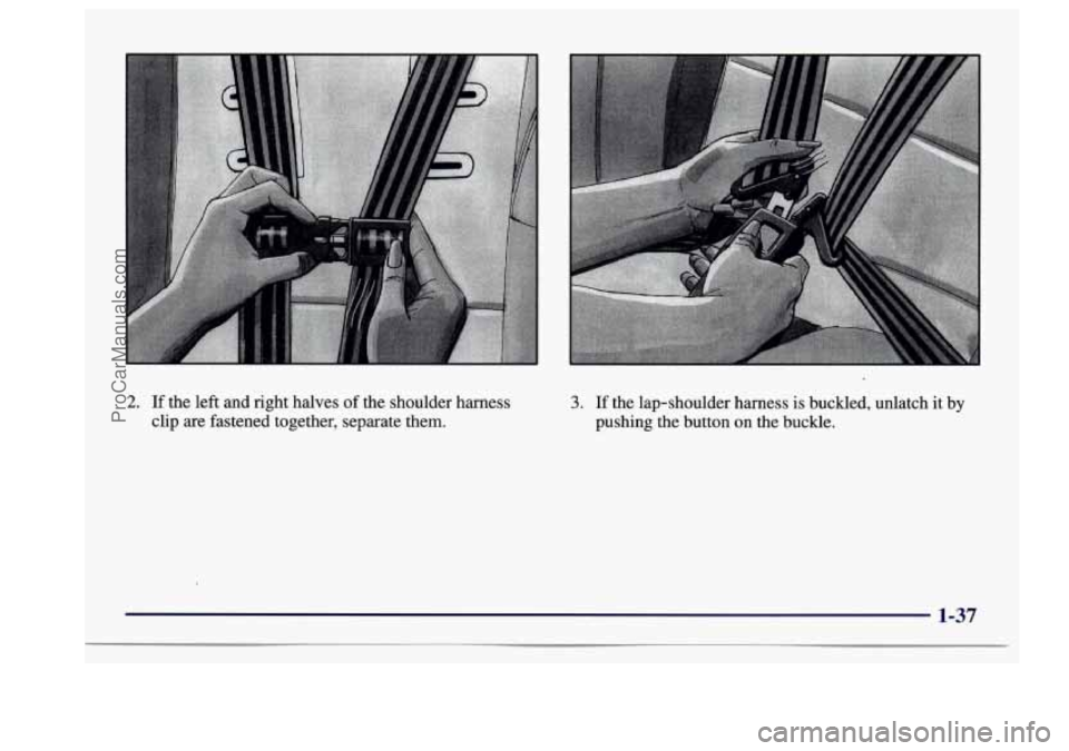 BUICK CENTURY 1997  Owners Manual 2. If the left and right halves of the shoulder harness 
clip 
are fastened together, separate them. 
3. If  the lap-shoulder  harness is buckled, unlatch  it by 
pushing the button  on the buckle. 
1