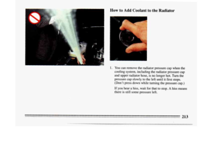 Page 215