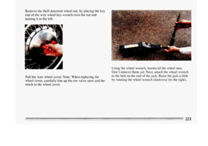 Page 223