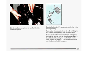 Page 253
