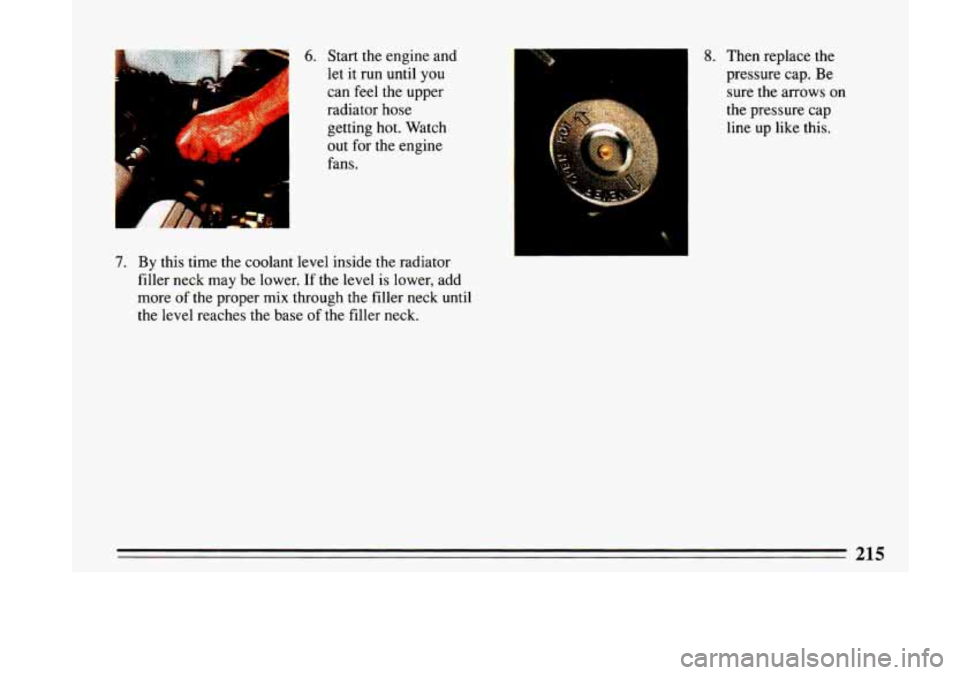 BUICK LESABRE 1993  Owners Manual Bp. 6. Start  the  engine and 
let 
it run  until  you 
can  feel  the  upper 
radiator  hose 
getting  hot. Watch 
out  for  the engine 
fans. 
7. By this  time  the  coolant  level  inside  the  rad