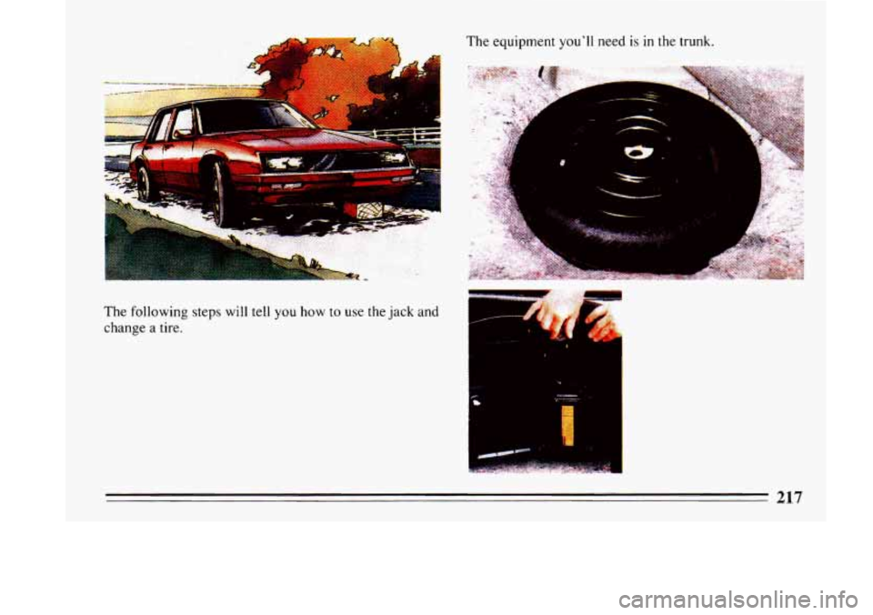 BUICK LESABRE 1993  Owners Manual The following steps will tell  you how to use the jack  and 
change  a  tire.  The 
equipment 
youll need is in the  trunk. 
217  