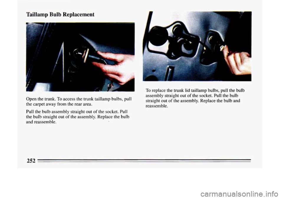 BUICK LESABRE 1993  Owners Manual Taillamp Bulb Replacement 
t -- . 
Open  the trunk. To access  the  trunk taillamp  bulbs, pull 
the  carpet  away from the  rear  area. 
Pull  the  bulb  assembly straight  out 
of the socket. Pull 
