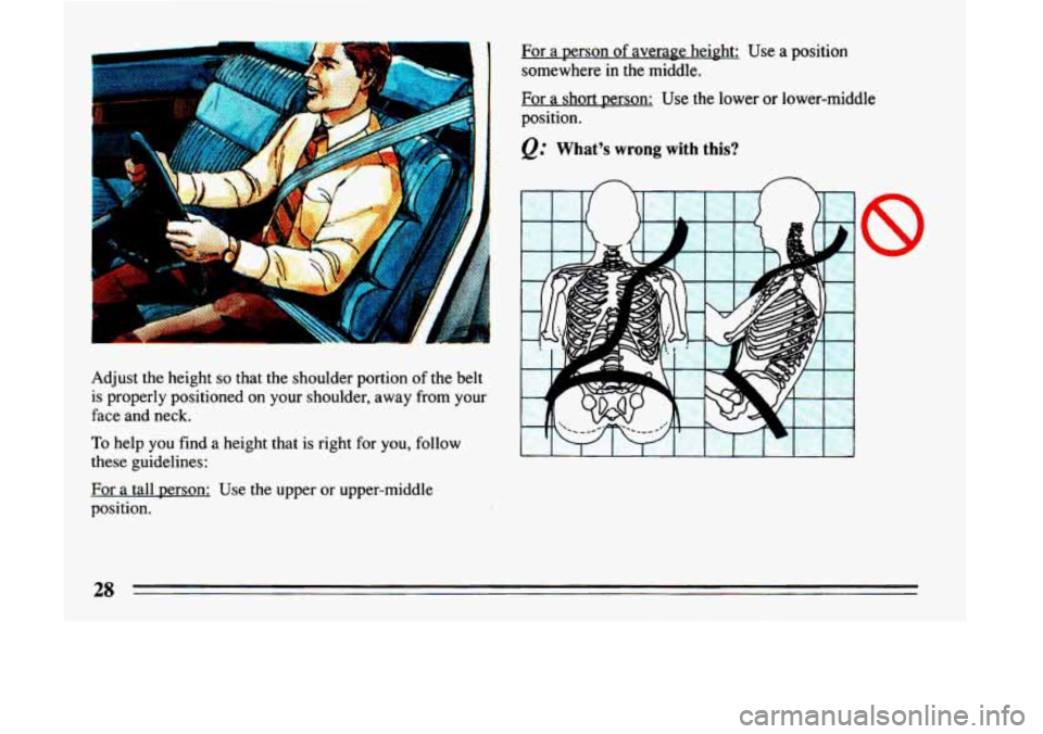 BUICK LESABRE 1993  Owners Manual L) 
For a person of averape height: Use a position 
somewhere 
in the middle. 
Adjust  the height 
so that  the  shoulder  portion of the belt 
is properly positioned 
on your  shoulder,  away  from y