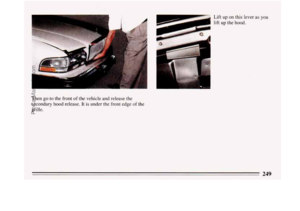 Page 251