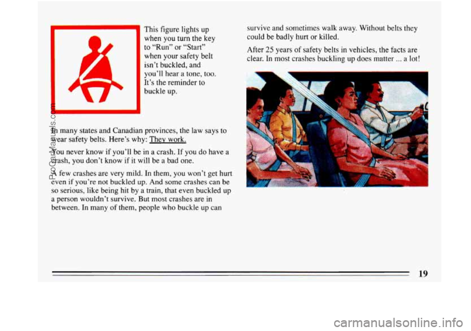 BUICK PARK AVENUE 1993  Owners Manual when you turn the key 
to “Run”  or  “Start” 
when your 
safety belt 
isn’t  buckled,  and 
you’ll  hear  a  tone,  too. 
It’s  the reminder  to 
buckle up. 
In many  states and Canadian