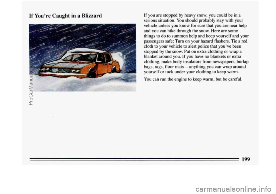 BUICK PARK AVENUE 1993  Owners Manual If Youre  Caught  in a Blizzard 
J 
If  you are stopped  by heavy  snow,  you  could be  in a 
serious  situation.  You should probably  stay  with  your 
vehicle unless  you know  for  sure  that  y