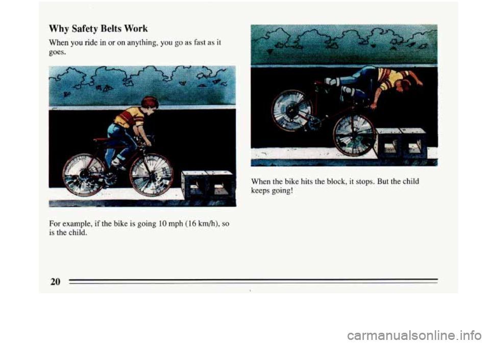 BUICK PARK AVENUE 1993  Owners Manual Why Safety Belts Work 
When you ride in or on anything, you go as fast as it 
goes. 
When the bike hits the block, it stops.  But the child 
keeps 
going! 
For example, if the  bike  is going 10 mph (