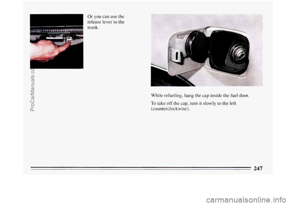 BUICK PARK AVENUE 1993  Owners Manual Or you can use the 
release lever in the 
trunk. 
I 
247 
ProCarManuals.com 