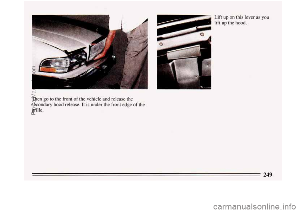 BUICK PARK AVENUE 1993  Owners Manual Then go to the front of the vehicle  and release the 
secondary hood release. It is under the  front  edge of the 
grille. 
L 
ProCarManuals.com 