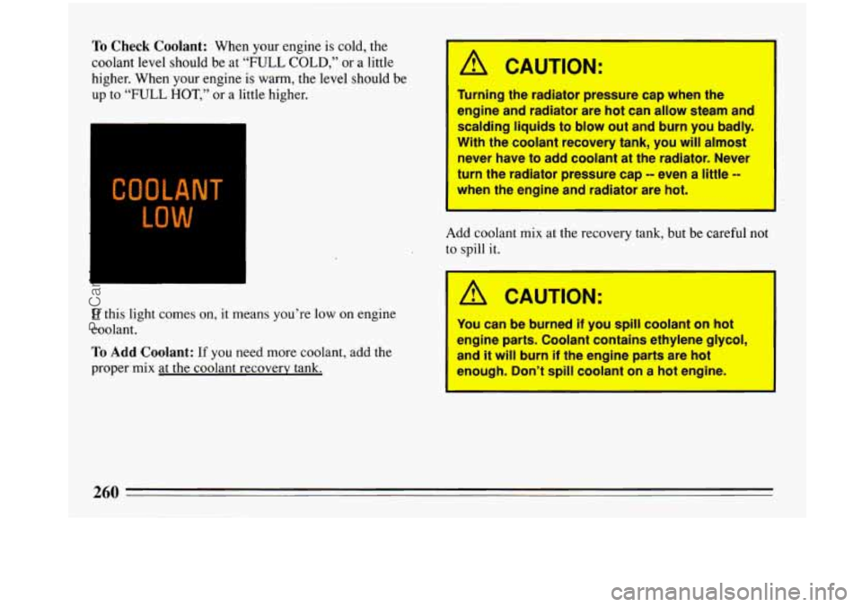 BUICK PARK AVENUE 1993  Owners Manual To Check Coolant: When your engine  is  cold,  the 
coolant level should be  at 
“FULL COLD,” or a little 
higher.  When your engine  is warm, the level should  be 
up  to 
“FULL HOT,” or a li