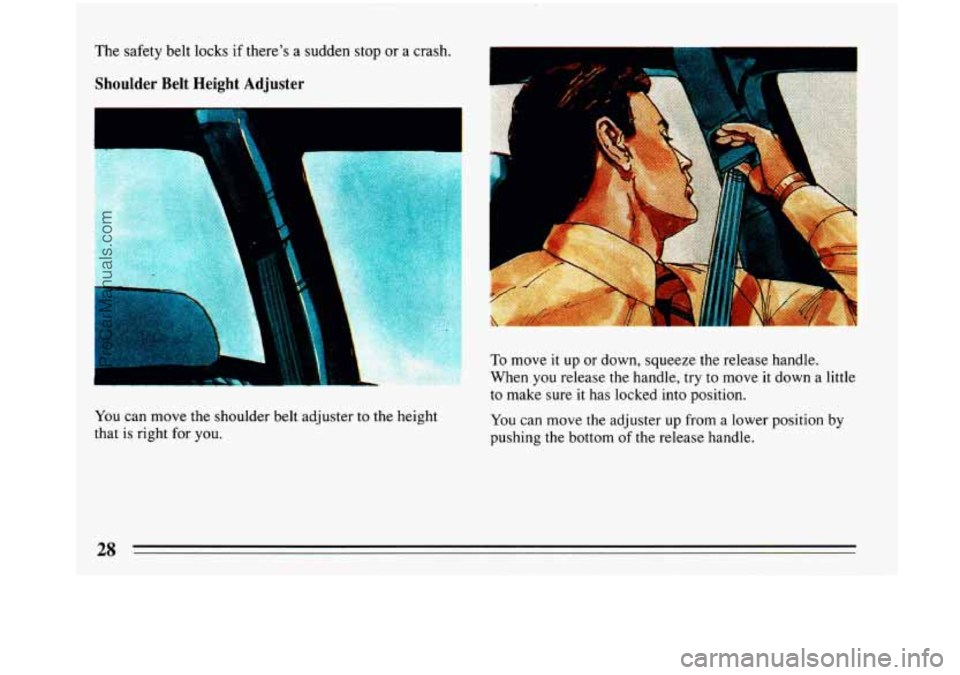 BUICK PARK AVENUE 1993  Owners Manual The safety belt locks if theres  a sudden  stop  or a crash. 
Shoulder  Belt  Height  Adjuster E 
You can move the shoulder belt  adjuster to the height 
that is right  for you. 
To move it  up or do