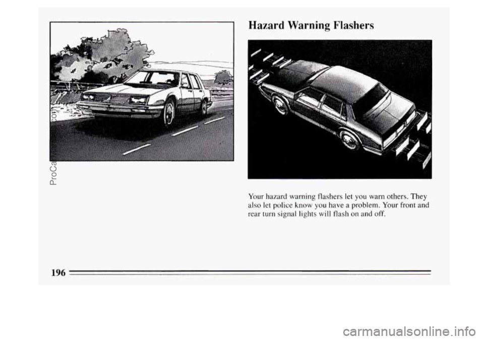 BUICK PARK AVENUE 1994  Owners Manual Hazard  Warning Flashers 
Your hazard warning flashers let you warn others. They 
also  let police 
know you have  a problem. Your front  and 
rear  turn  signal lights 
will flash on and off. 
196 
P