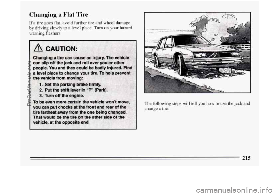 BUICK PARK AVENUE 1994  Owners Manual Changing a Flat Tire 
If a tire goes  flat,  avoid  further  tire and  wheel damage 
by  driving  slowly  to  a 
level place. Turn on your hazard 
warning  flashers. 
i 
The following  steps  will tel