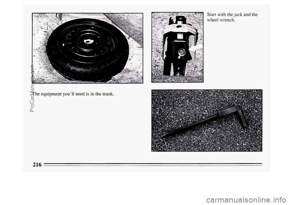 BUICK PARK AVENUE 1994  Owners Manual The equipment youll  need is in the  trunk.  Start 
with the  jack  and  the 
wheel wrench. 
216 
ProCarManuals.com 