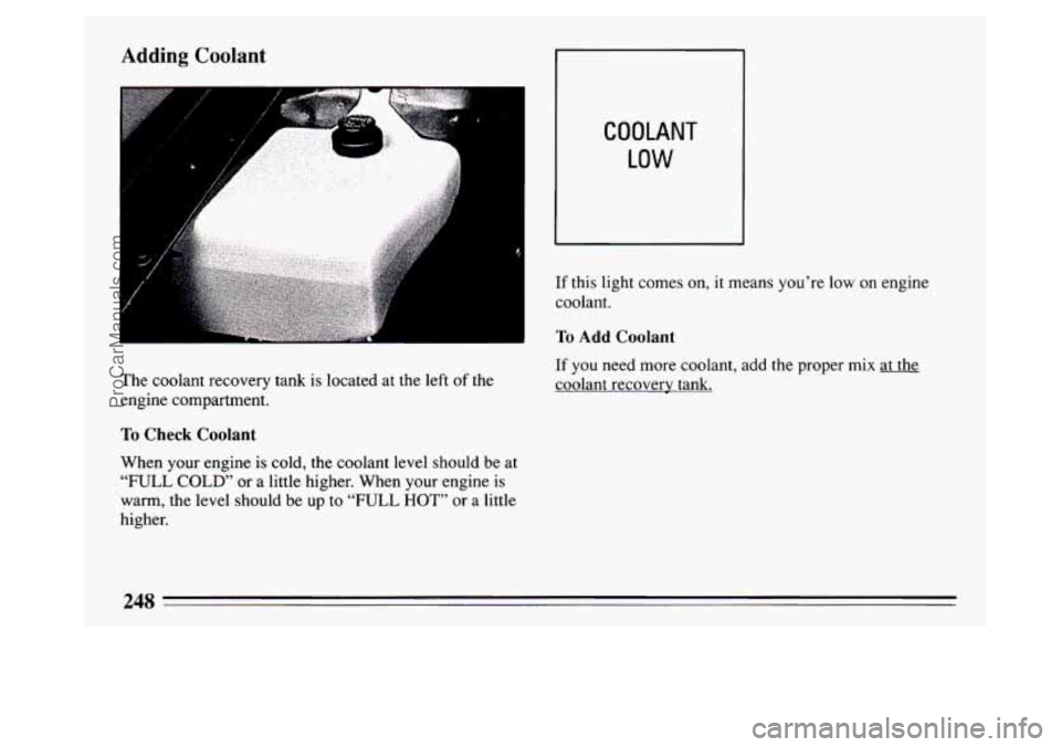 BUICK PARK AVENUE 1994  Owners Manual Adding  Coolant 
The coolant recovery tank is located  at  the left of the 
engine  compartment. 
To Check  Coolant 
When your  engine is cold,  the coolant level should  be at 
“FULL COLD’ or a l