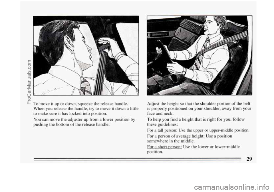 BUICK PARK AVENUE 1994  Owners Manual i 
1 
L 1 
To move it up or  down,  squeeze the release handle. 
When  you release the handle, 
try to move it down  a little 
to  make  sure 
it has locked  into position. 
You  can move the  adjuste