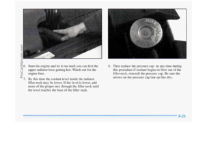 Page 233