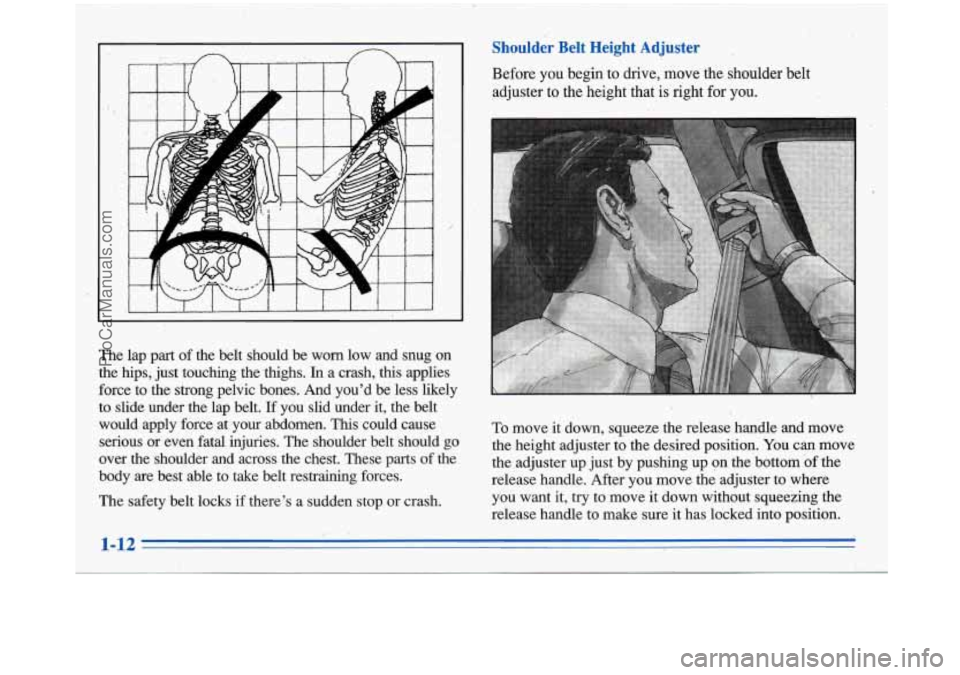 BUICK PARK AVENUE 1996  Owners Manual .#! 
The lap part of the  belt  should  be  worn.  low  and  snug on 
the  hips,  just touching  the thighs. In a crash,  this  applies 
force  to  the  strong  pelvic  bones.  And  youd be  less  l